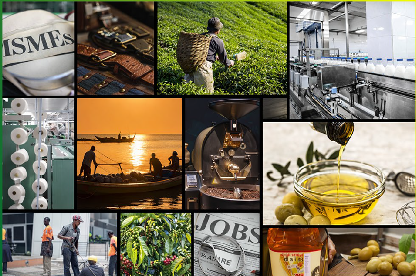 Value chains pictorial